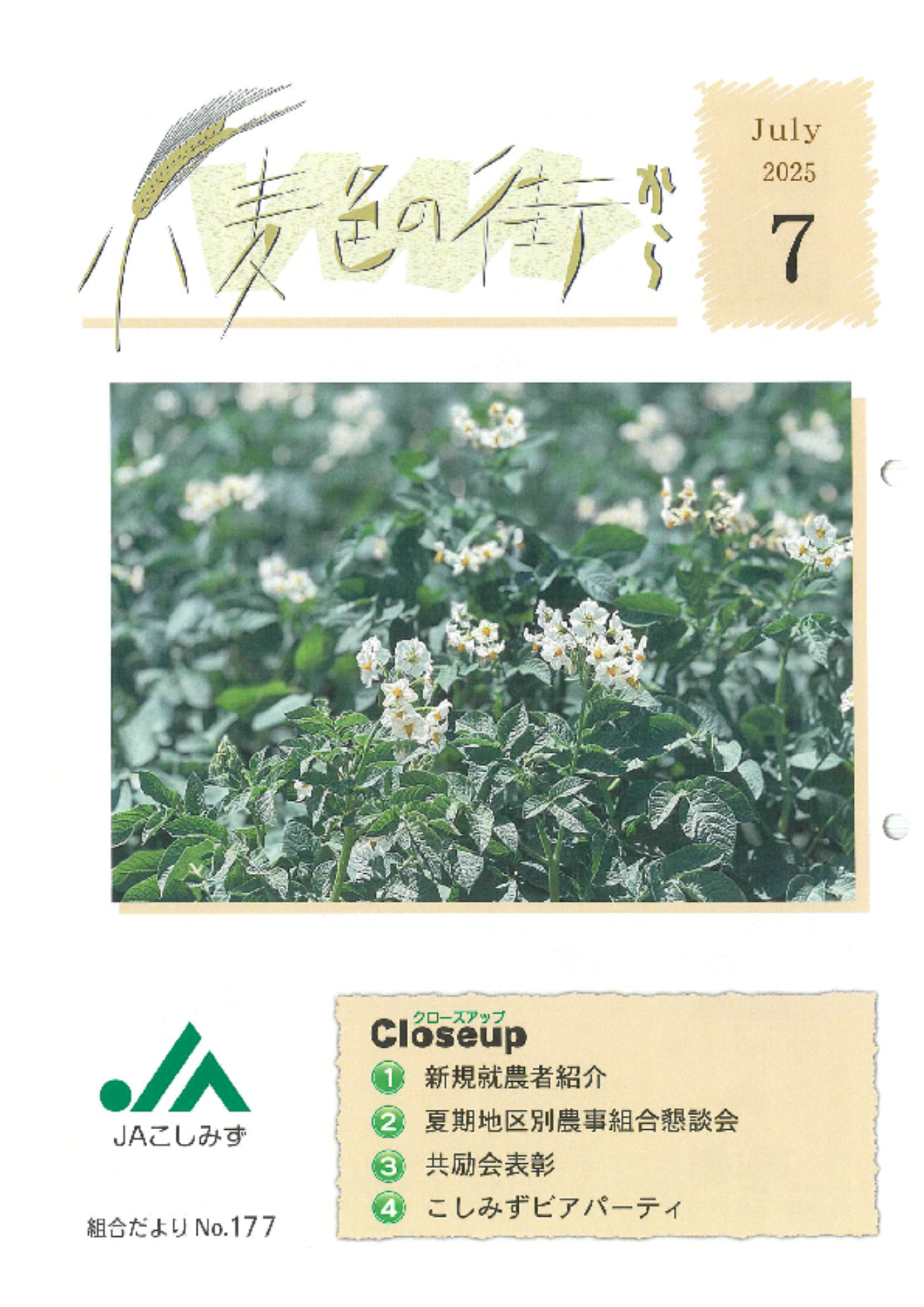 【最新号】小麦色の街から