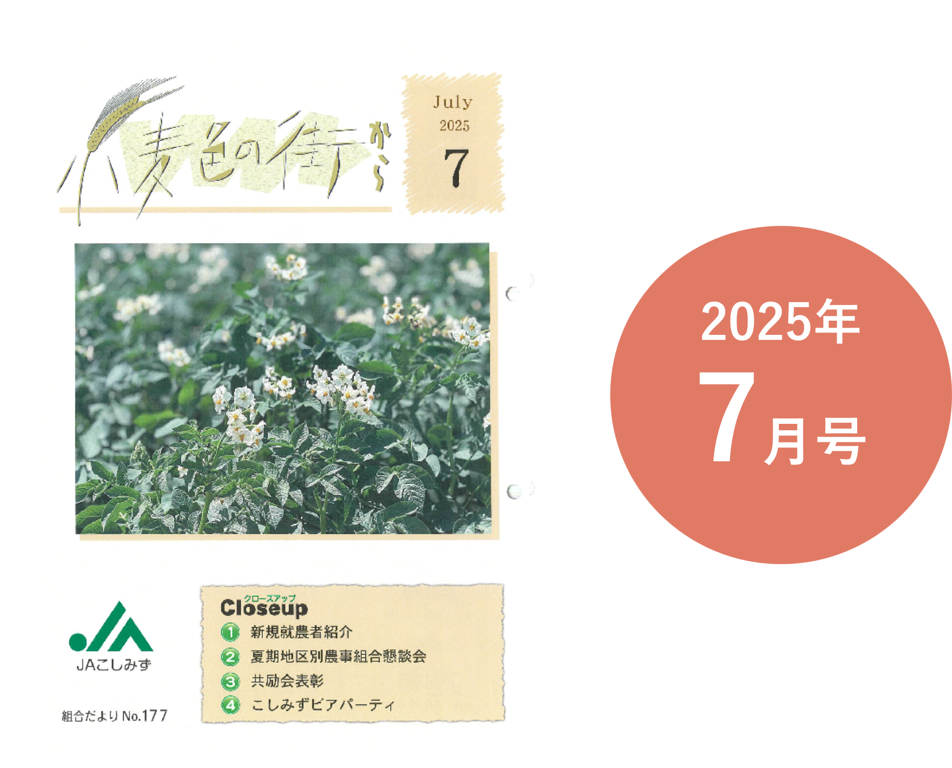 広報誌 小麦色の街から